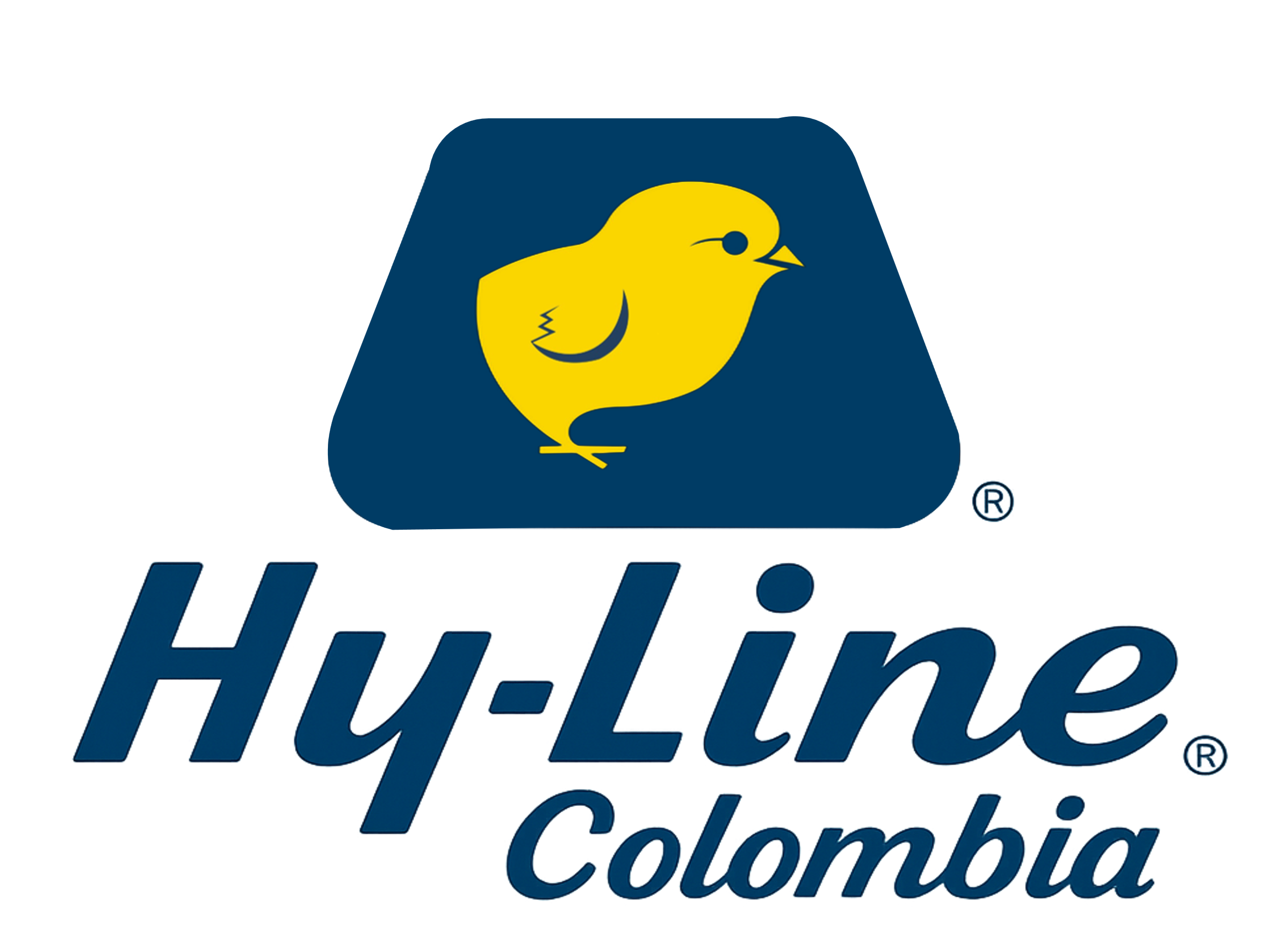 Hy-Line